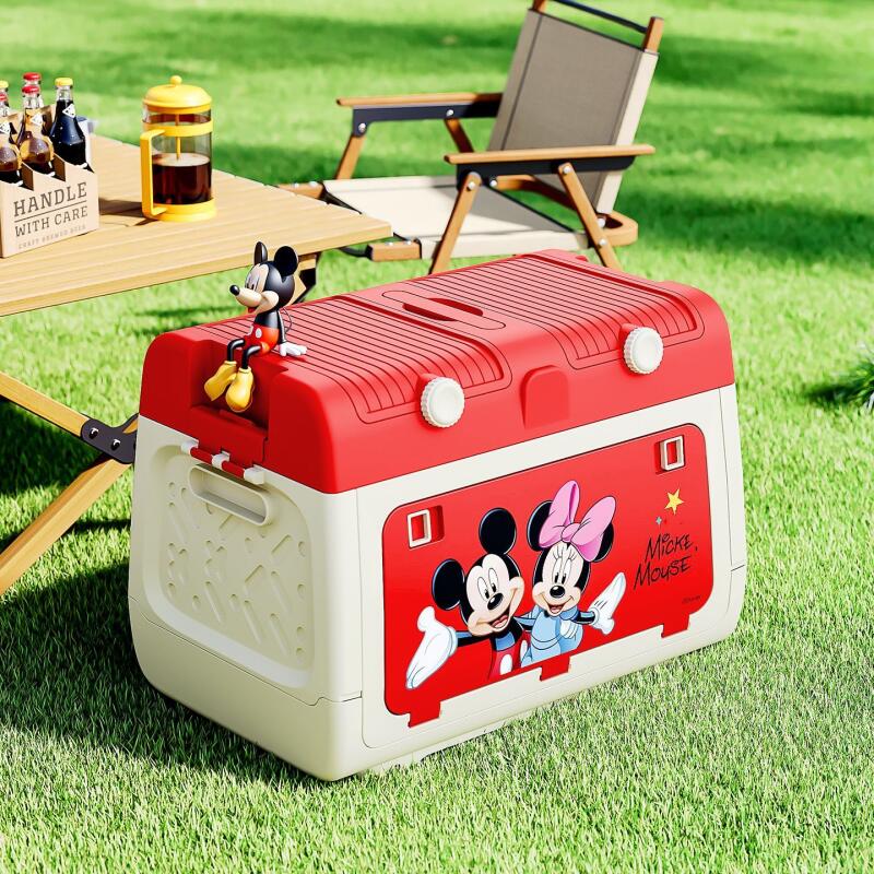 Boîte de rangement pour campin - Car Accessories For Camping avis et prix