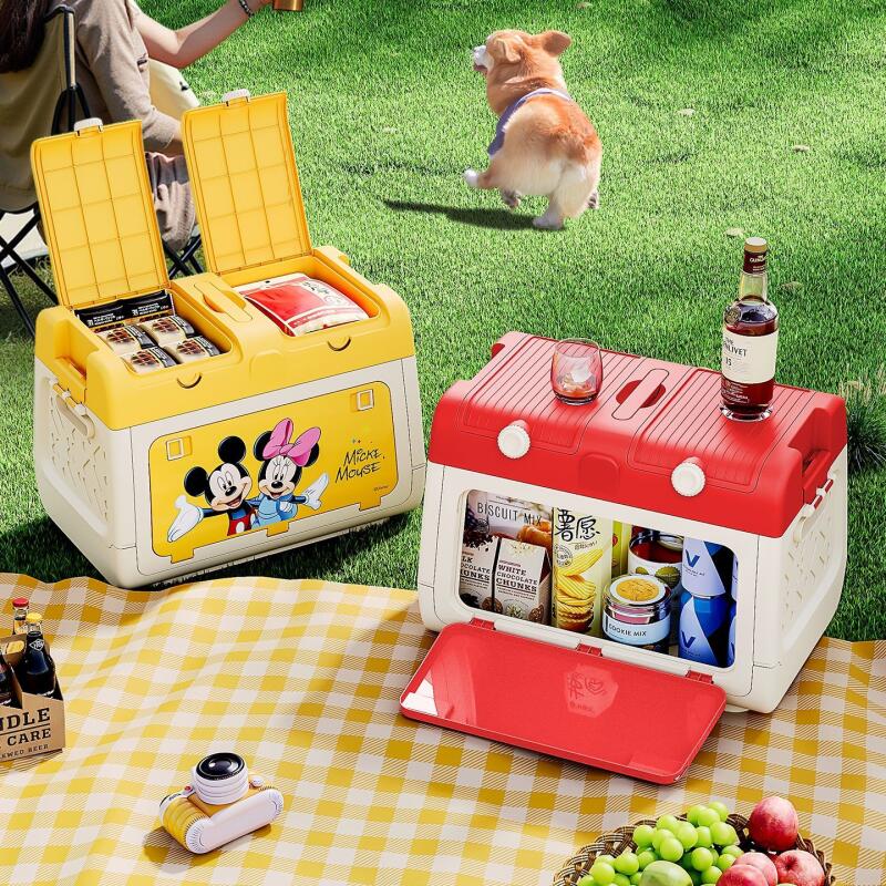 Boîte de rangement pour campin - Car Accessories For Camping avis et prix